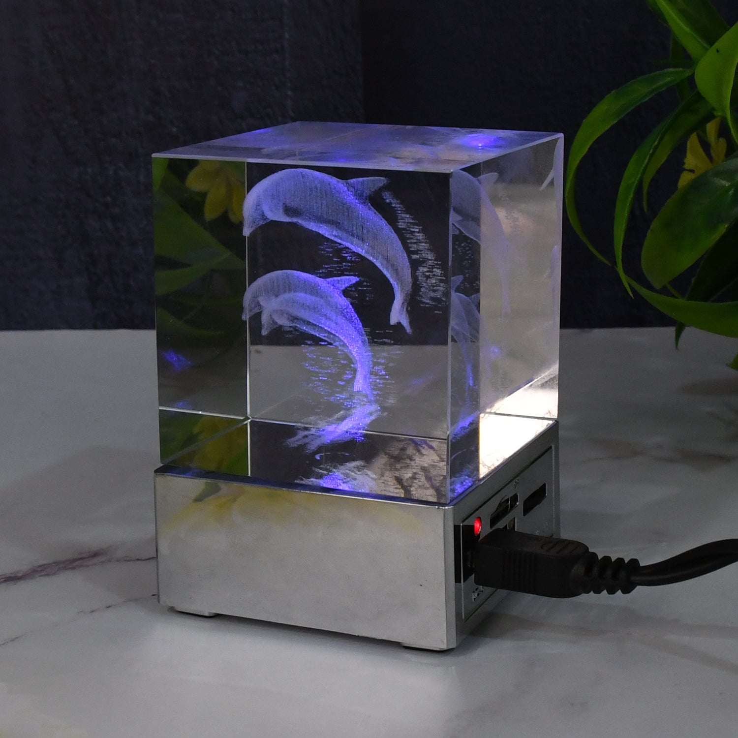 AquaGlow Dolphin AquaGlow Dolphin